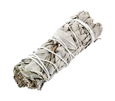 White Sage 4"