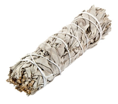 White Sage 6"