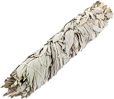 White Sage 9"
