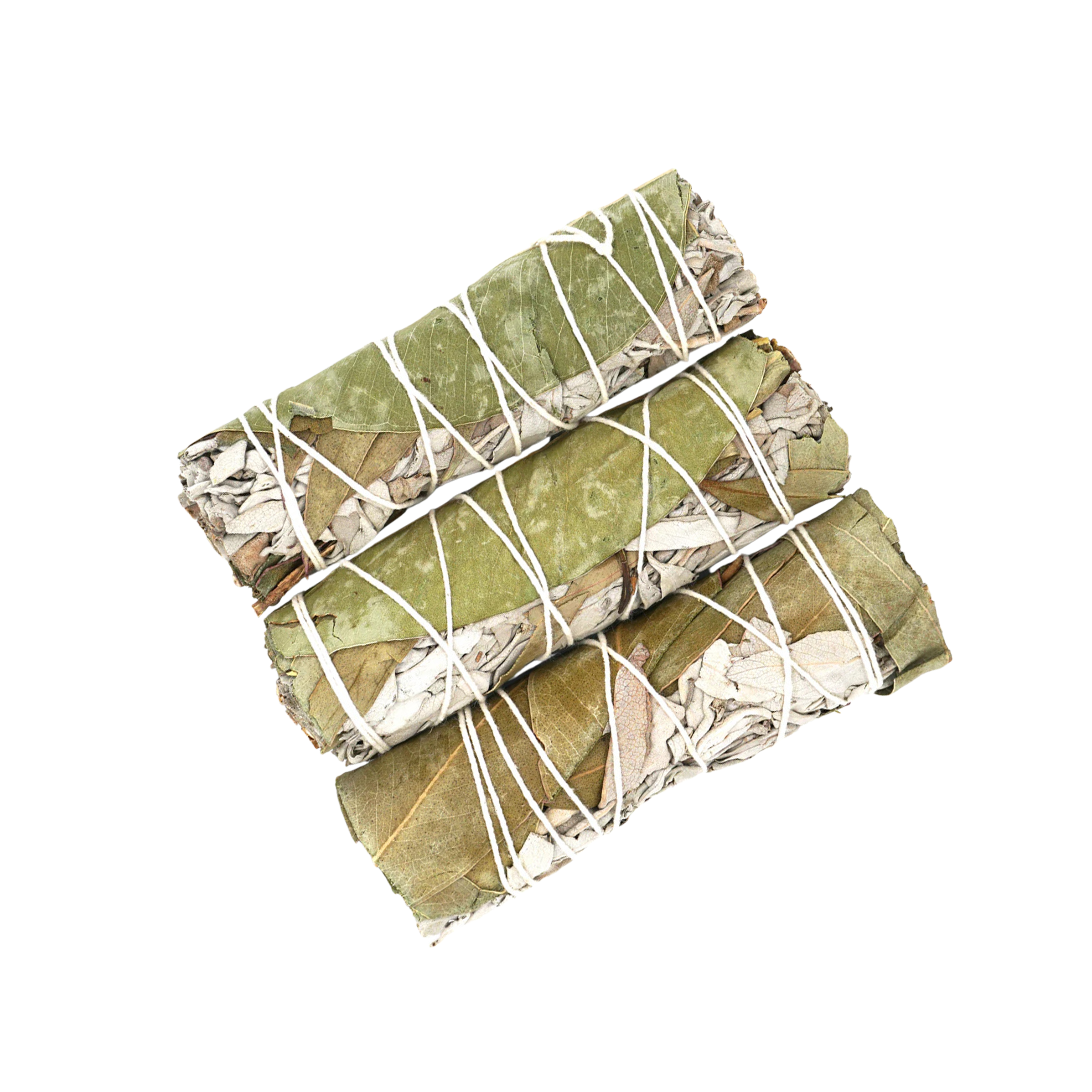Sage & Eucalyptus 4"