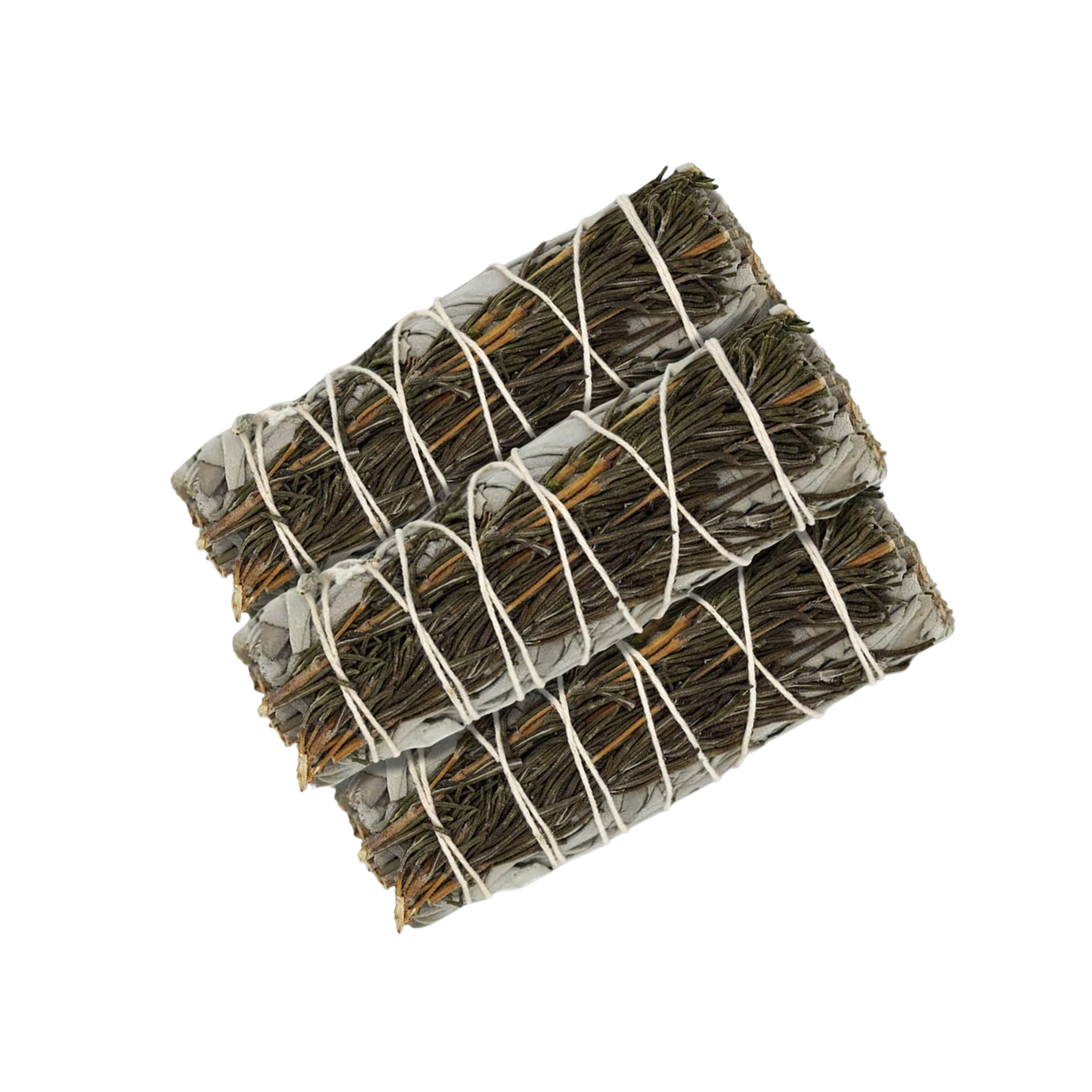 Sage & Rosemary 4"