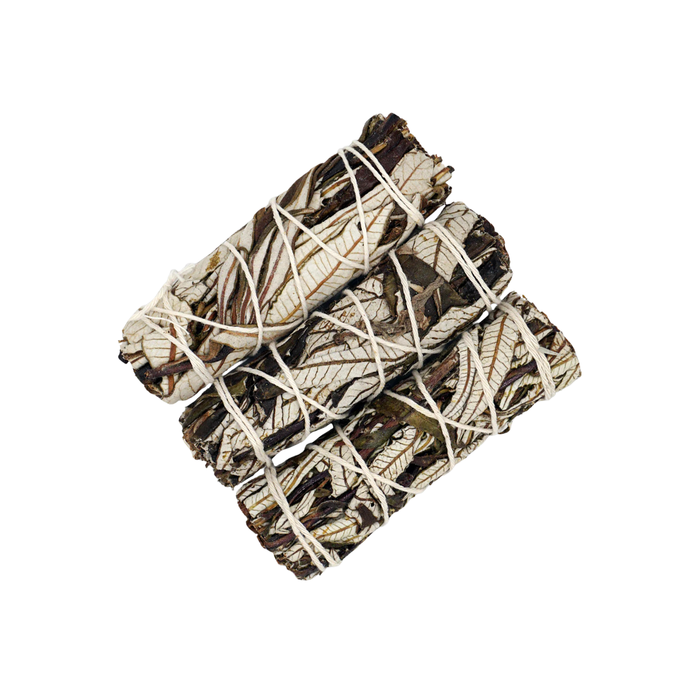 Sage & Yerba Santa 4"